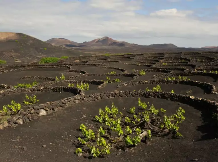 Lanzarotes Highlights erwandern