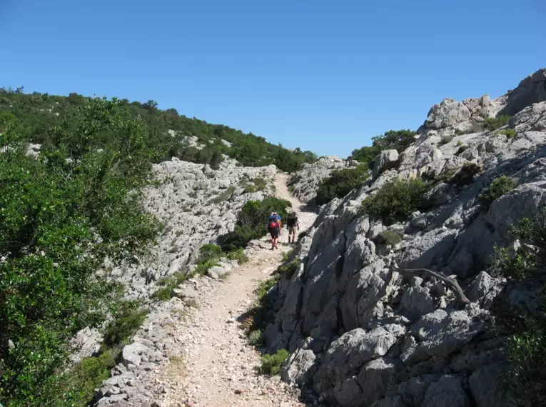 Felsenpfad mit Wanderern und grünem Gebüsch in Sardinien