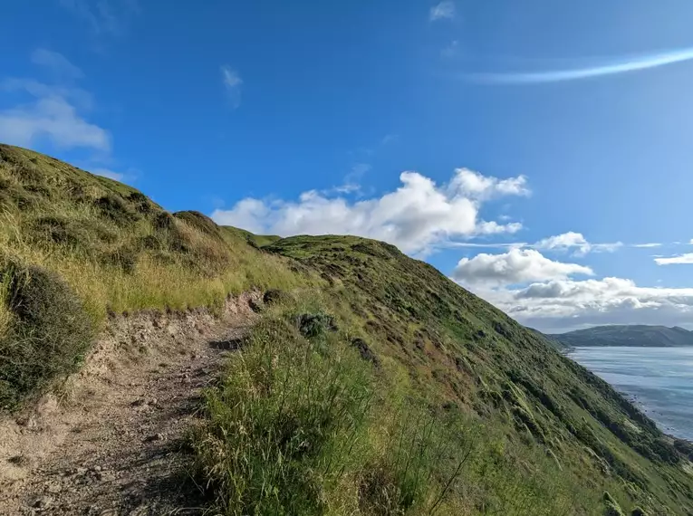 Neuseeland - Trekking im Land der langen weißen Wolke