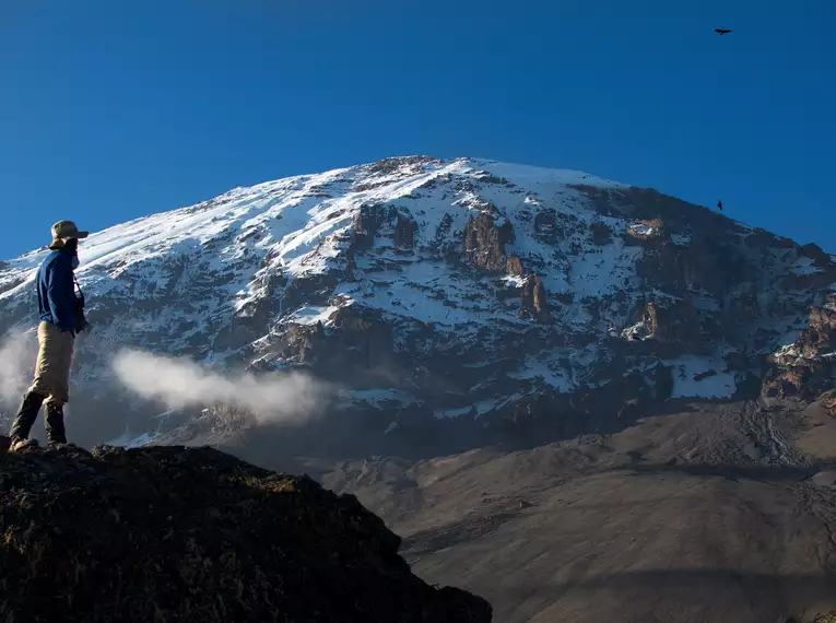 Kilimanjaro individuell - Lemosho Route 