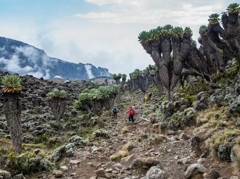 Kilimanjaro: Machame-Route (Southern Cicuit)