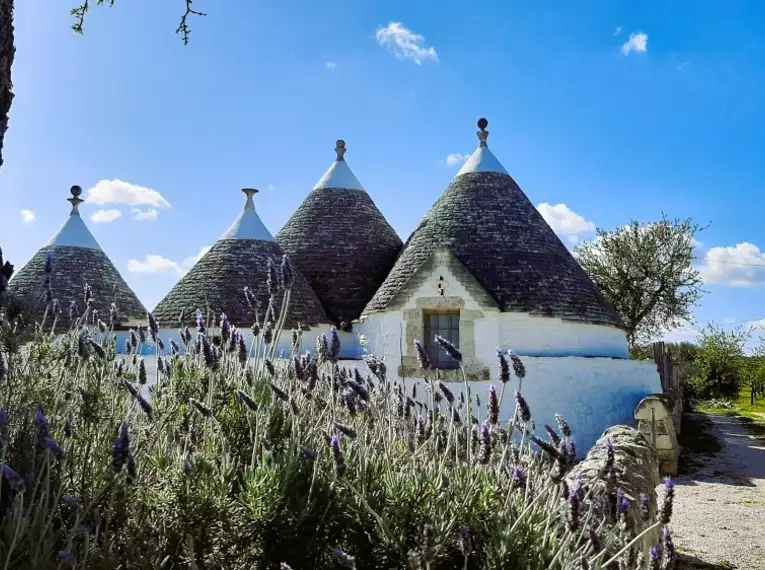 Traditionelle Trulli mit Lavendel in Apulien, Italien.