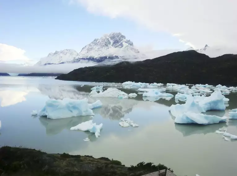 Blick auf treibende Eisberge im Lago Grey vor Bergkulisse in Patagonien.