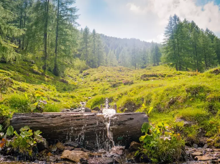 Kulinarische Wanderwoche Kärnten