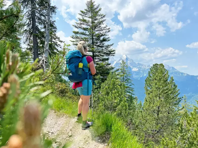 Wanderer mit Rucksack auf alpinem Pfad, Berge und Wälder im Hintergrund.