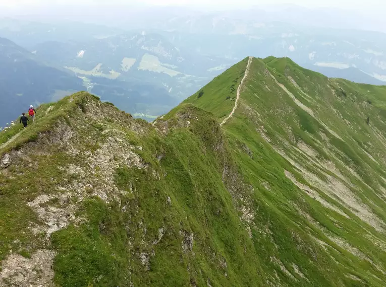 Steinbock-Wanderwoche im Allgäu