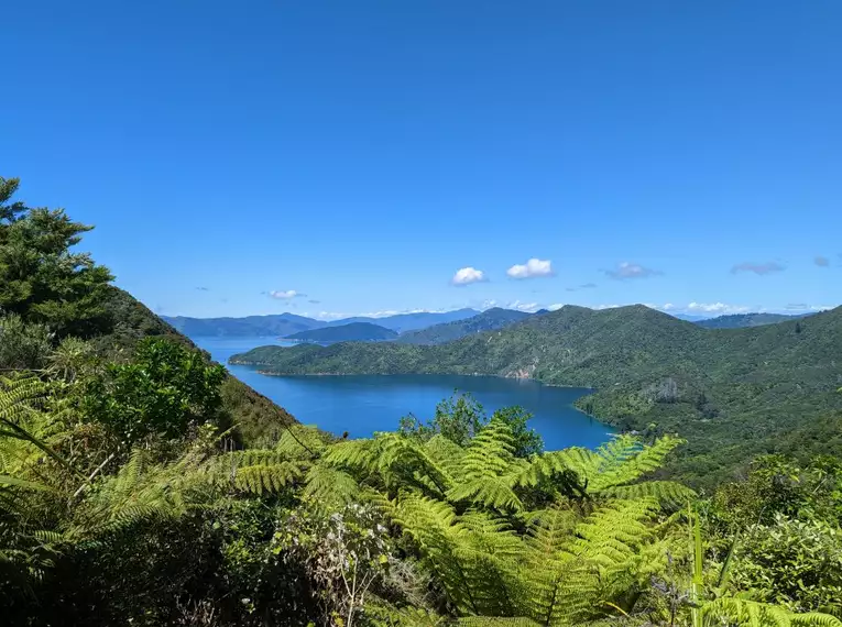 Neuseeland - Trekking im Land der langen weißen Wolke