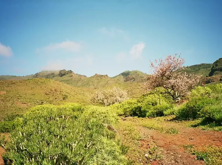 Grüne Hügel und blauer Himmel auf Menorca.