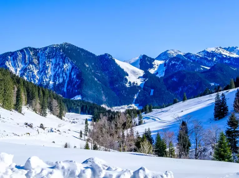 Silvester in den Bayerischen Alpen