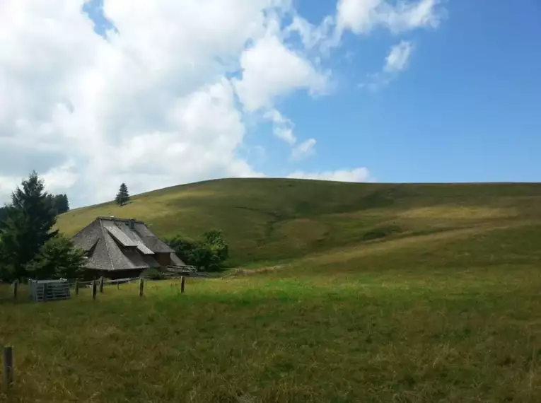 Die schönsten Wanderungen im Schwarzwald