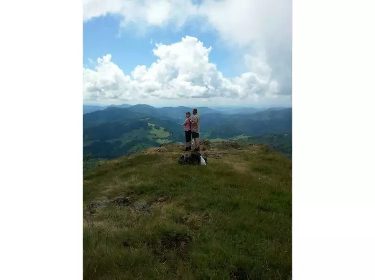 Die schönsten Wanderungen im Schwarzwald