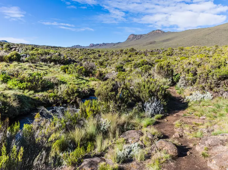 Kilimanjaro individuell - Lemosho Route 