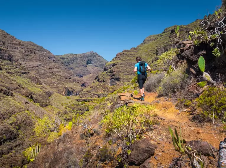 La Palmas Highlights erwandern