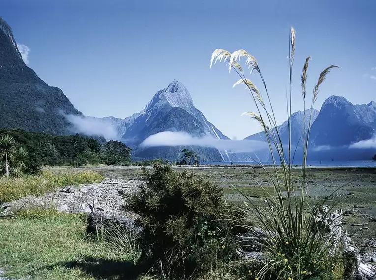 Wanderwoche Neuseeland - Zwischen Vulkanen und Regenwäldern