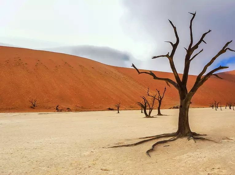 Silvester in Namibia