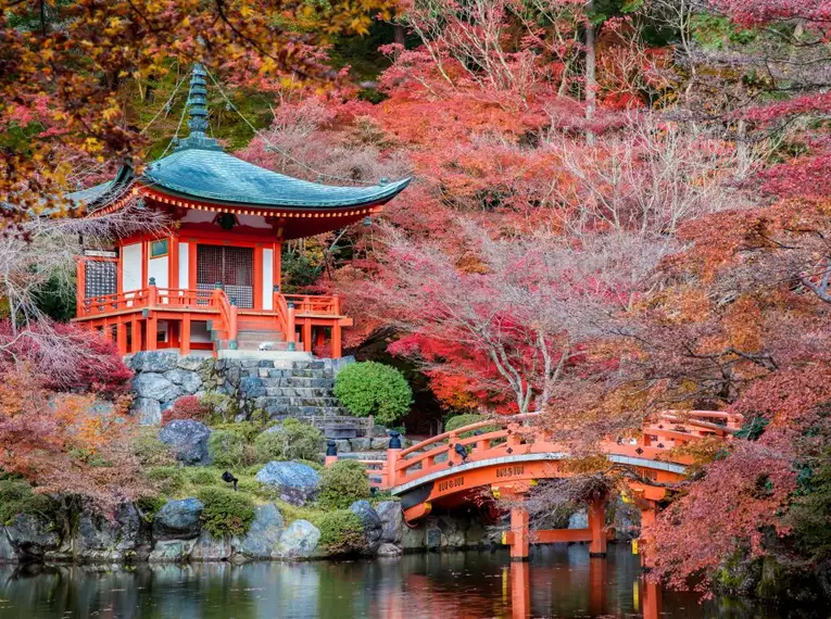 Japan: Kirschblüte oder Herbstlaub zaubern Farbenwunder