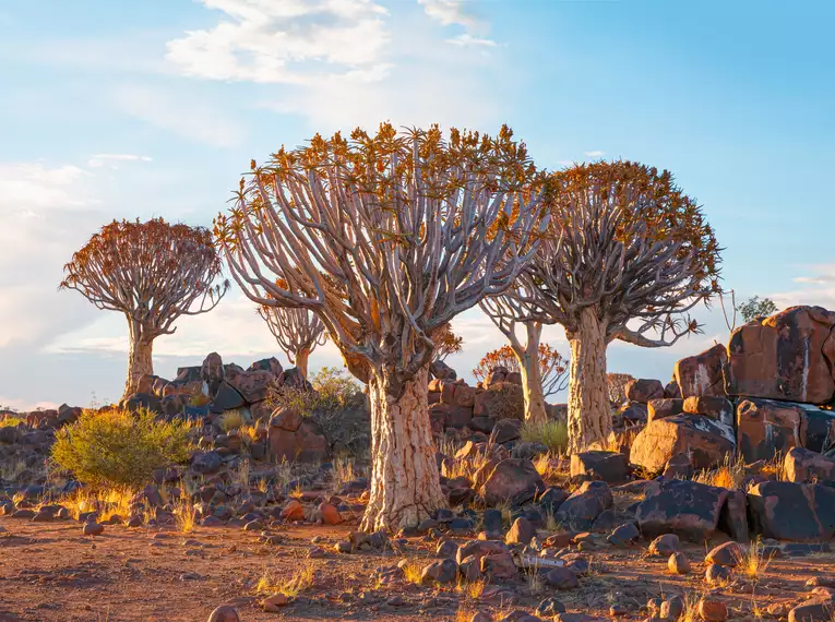 Namibia komfortabel erwandern