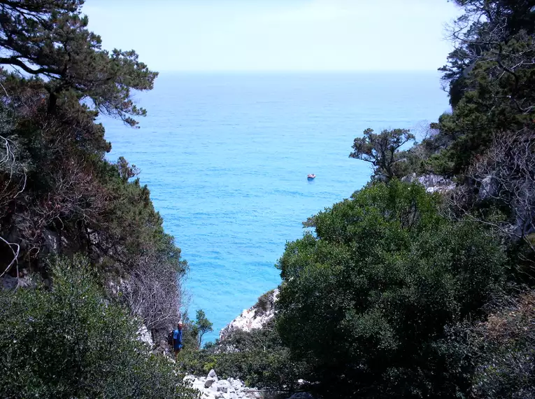 Blick auf das türkisblaue Meer durch Bäume und Felsen in Sardinien.