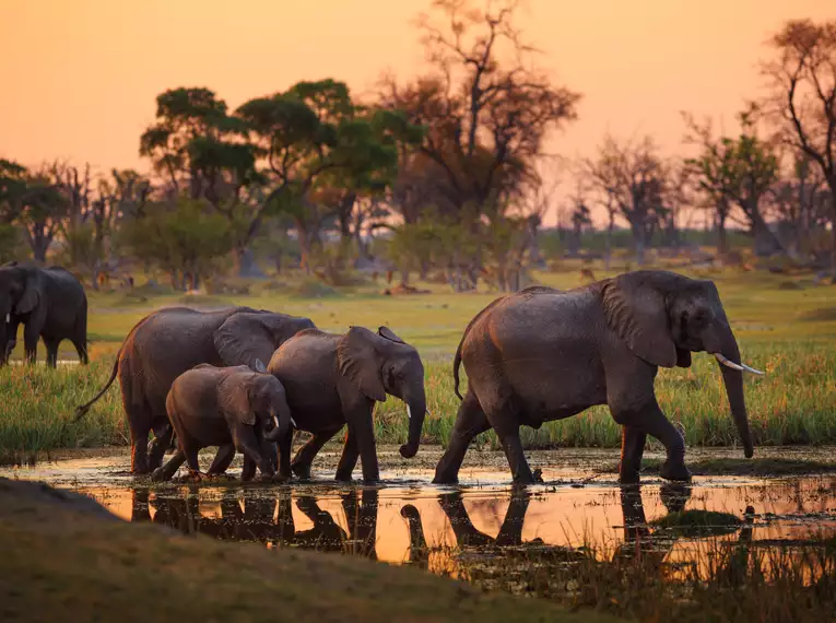 Die Highlights des südlichen Afrika erleben