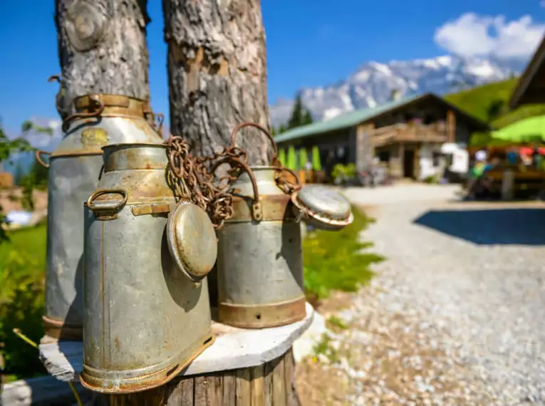 Individuelle Wanderwoche entlang des Salzburger Almenwegs