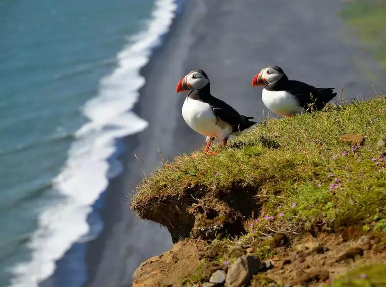 Island: Wo Naturkräfte und Legenden verschmelzen