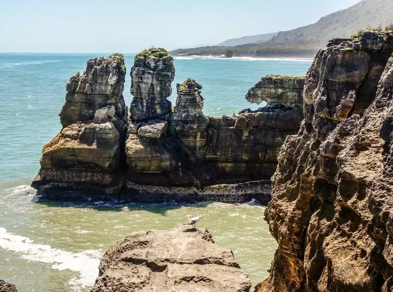 Wanderwoche Neuseeland - Zwischen Vulkanen und Regenwäldern