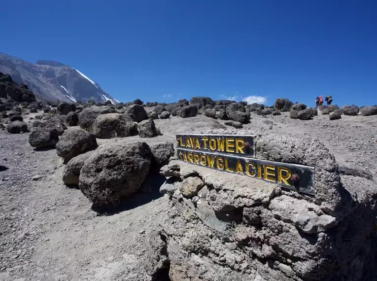 Kilimanjaro individuell - Lemosho Route 