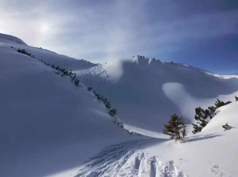 Freeridewoche Oberstdorf & Kleinwalsertal