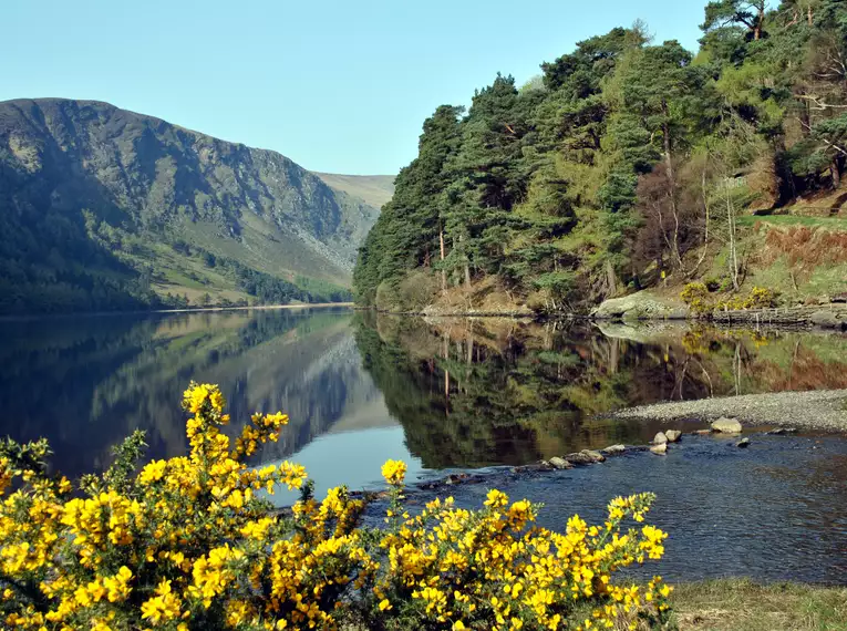 Irland - die Wicklows gemütlich erwandern