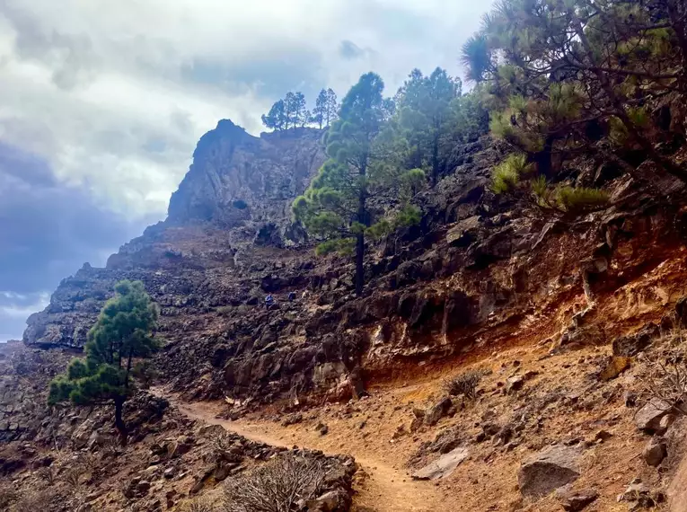 La Gomera: Ein Naturparadies zum Verlieben