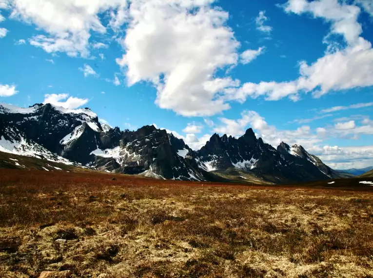 Abenteuer Yukon & Alaska: Paddeln auf dem legendären Fluss