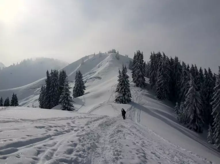 Schneeschuhtouren rund um Oberstdorf, Teil 2