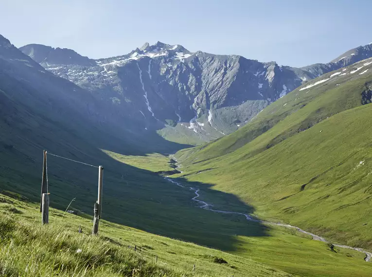 Grüne Berglandschaft im Sommer mit schneebedeckten Gipfeln, klarer Himmel.