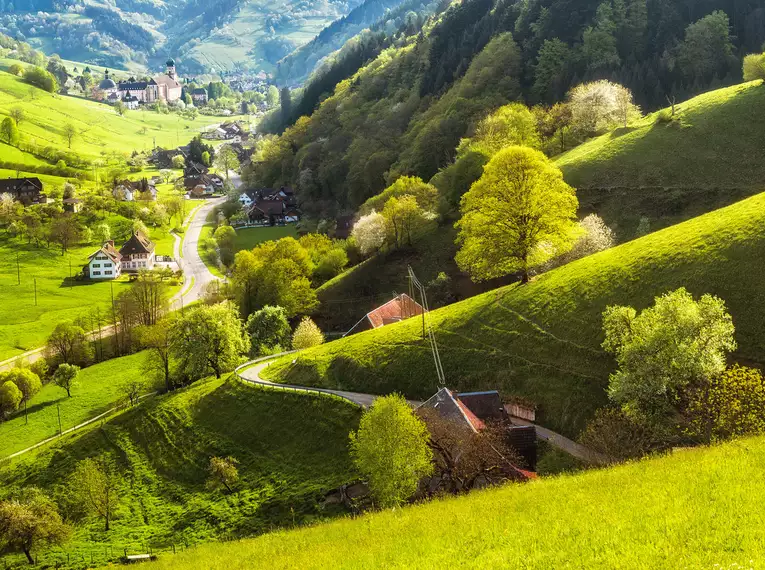 Bezaubernder Hochschwarzwald - individuelle Wanderwoche