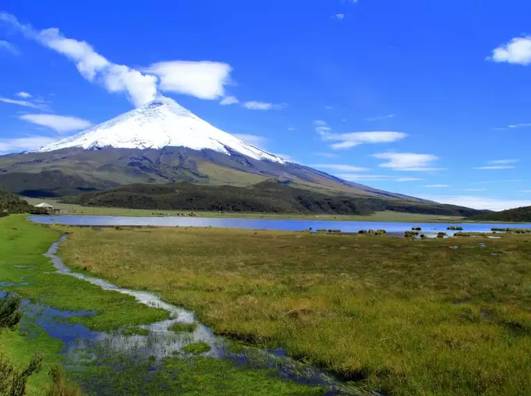 Ecuador entdecken: Von Vulkanen zum Amazonas-Regenwald, bis zu den Galápagos-Inseln