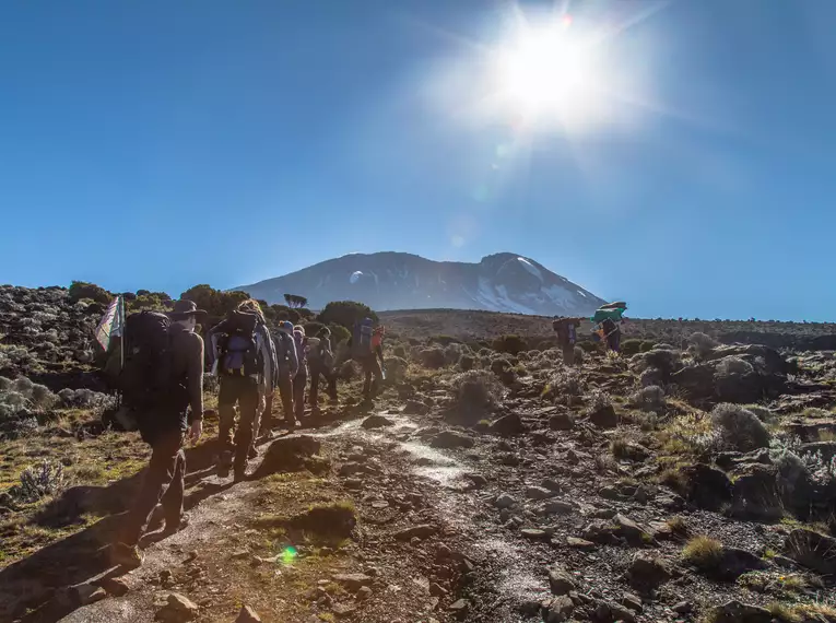 Kilimanjaro individuell - Lemosho Route mit Crater Camp