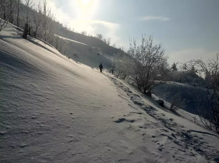 Schneeschuhwandern im Lappland