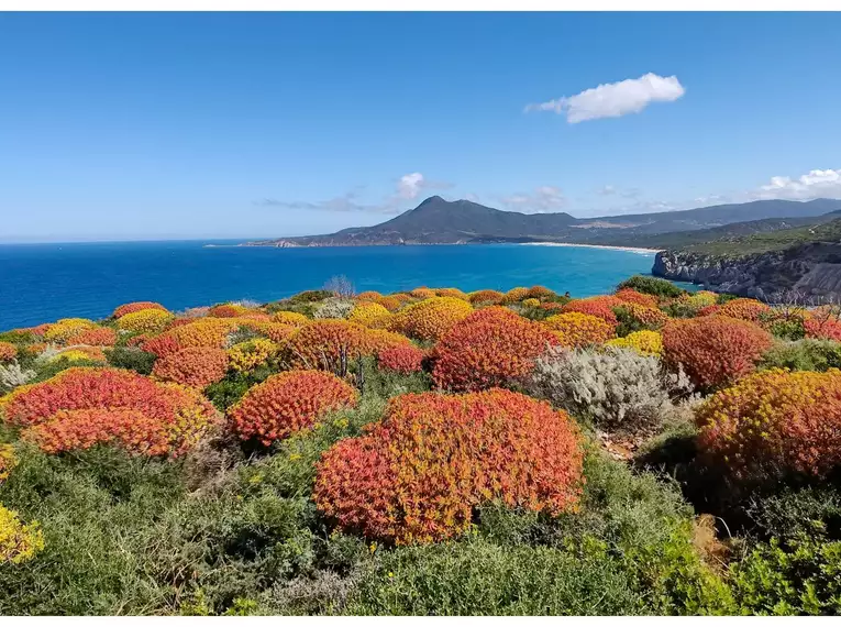 Wild Trail Via Colorara - Sardinien