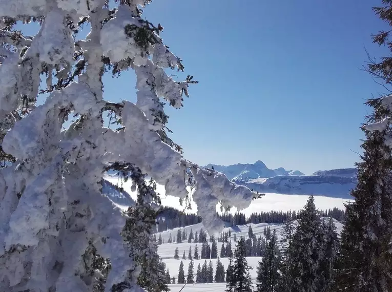 Schneeschuhtouren durch das einsame Rohrmoostal