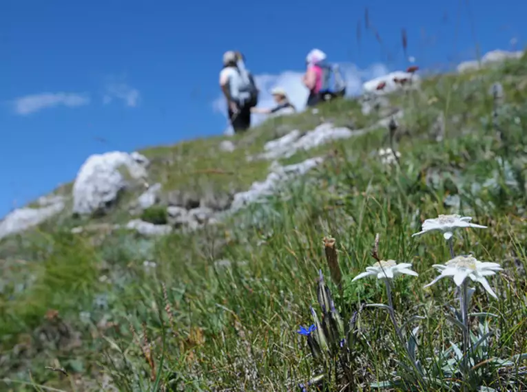 Durchquerung der Dolomiten - unser Geheimtipp