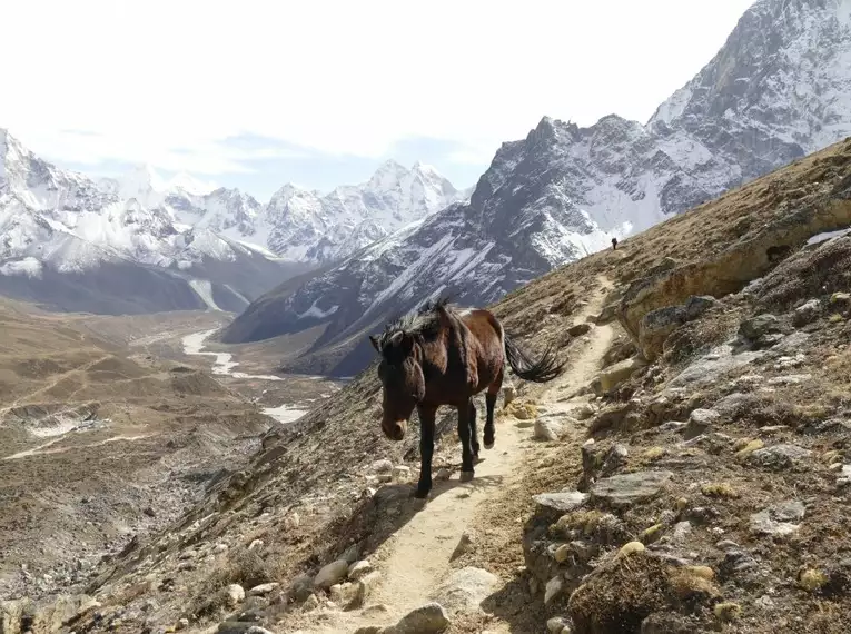 Nepal – Höhepunkte der Everest-Region