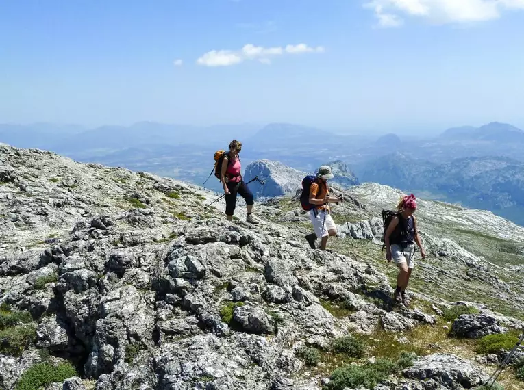 Sardiniens Zauber: Auf den Spuren der Hirtenpfade