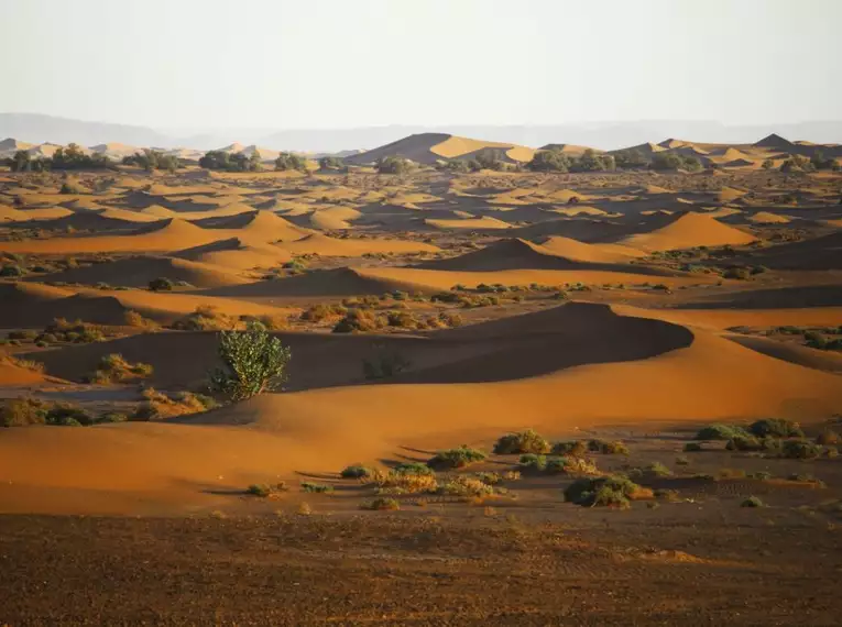 Magische Highlights Marokkos: Erkundung der Königsstädte und Sahara-Dünen