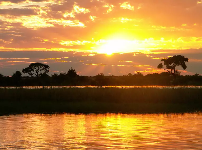 Die Highlights des südlichen Afrika erleben