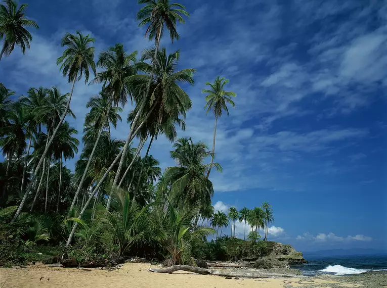 Costa Rica naturnah erwandern