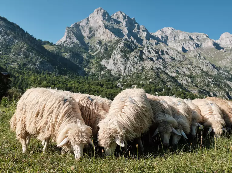 Albanien - Das Land der Kontraste erwandern