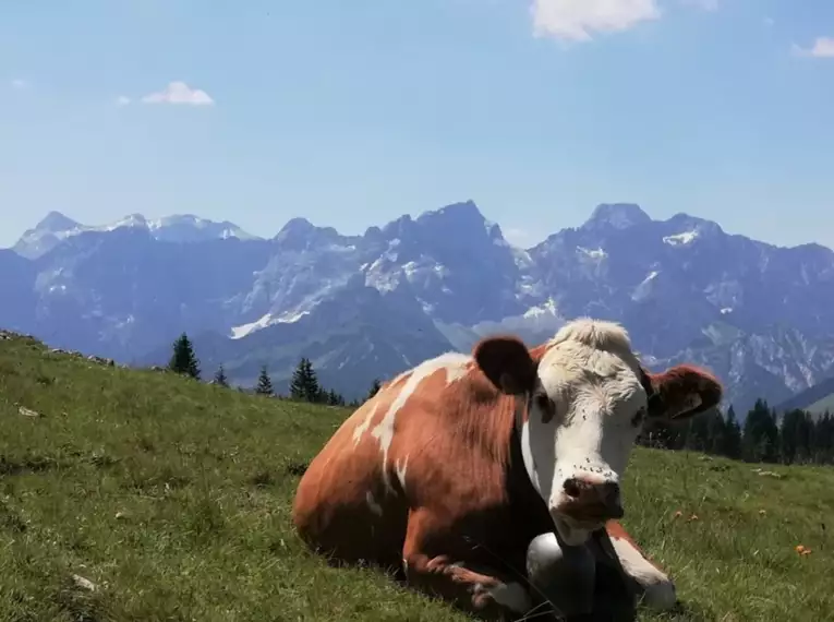 Der Isarwinkel - die schönsten Touren im bayrischen Voralpenraum