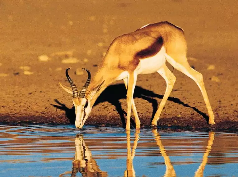 Namibia komfortabel erwandern