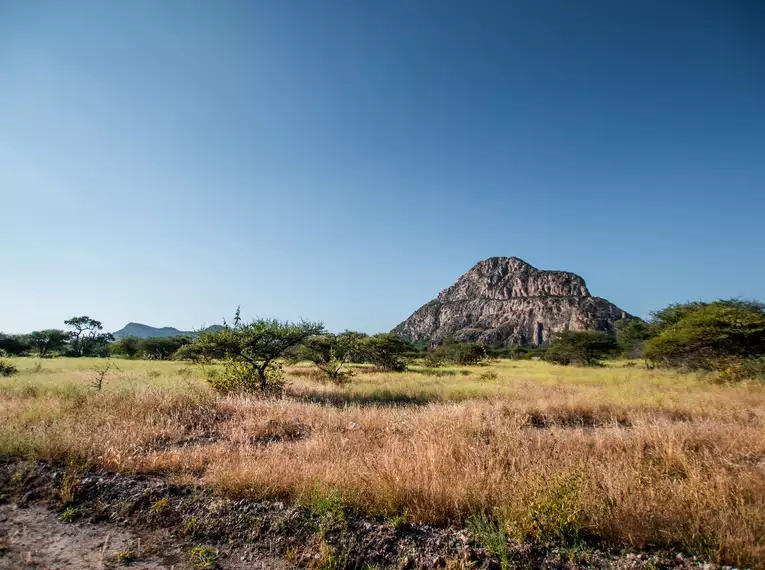 Die Highlights des südlichen Afrika erleben