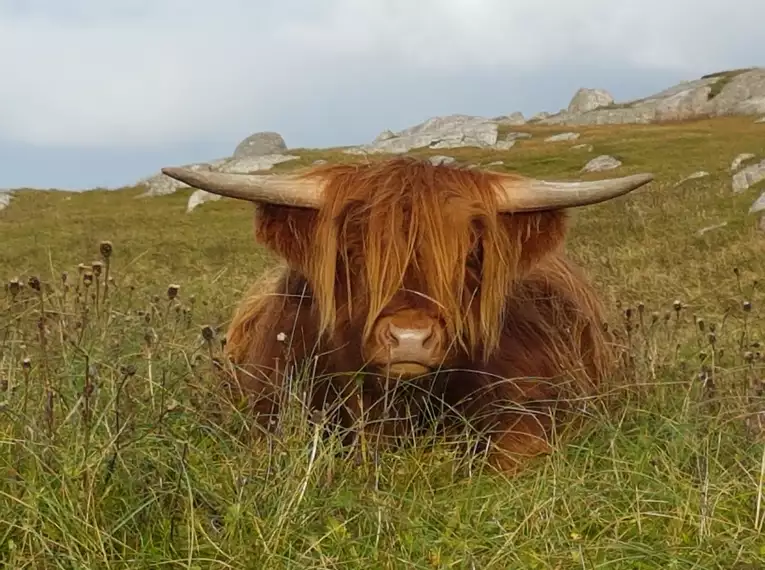 Schottland - Die Äußeren Hebriden erwandern